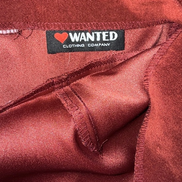 Maroon Suede Mini Dress - Picture 3 of 3